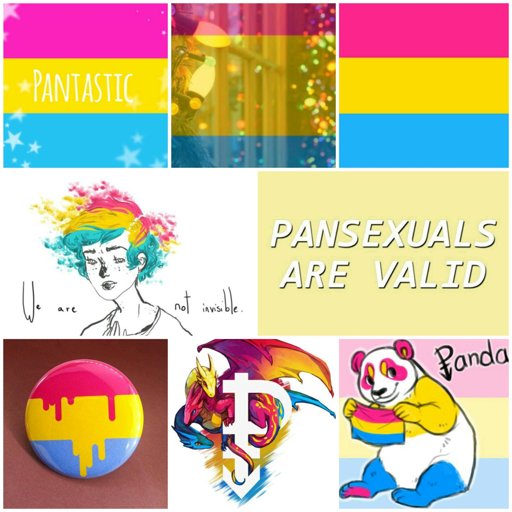 Pansexual Wiki Símply Aesthetíc Amino 