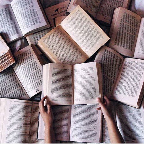 book suggester book suggester