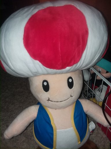 giant toad plush