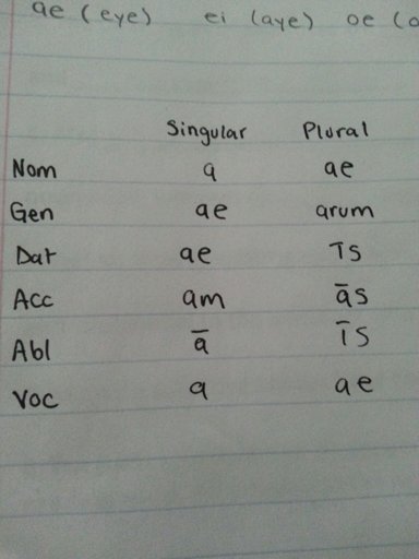 1st Declension Nouns Part 2 | Language Exchange Amino