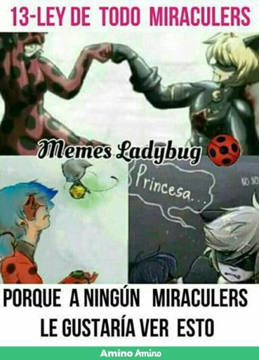 Leyes para ser un miraculers Miraculous Ladybug Español Amino