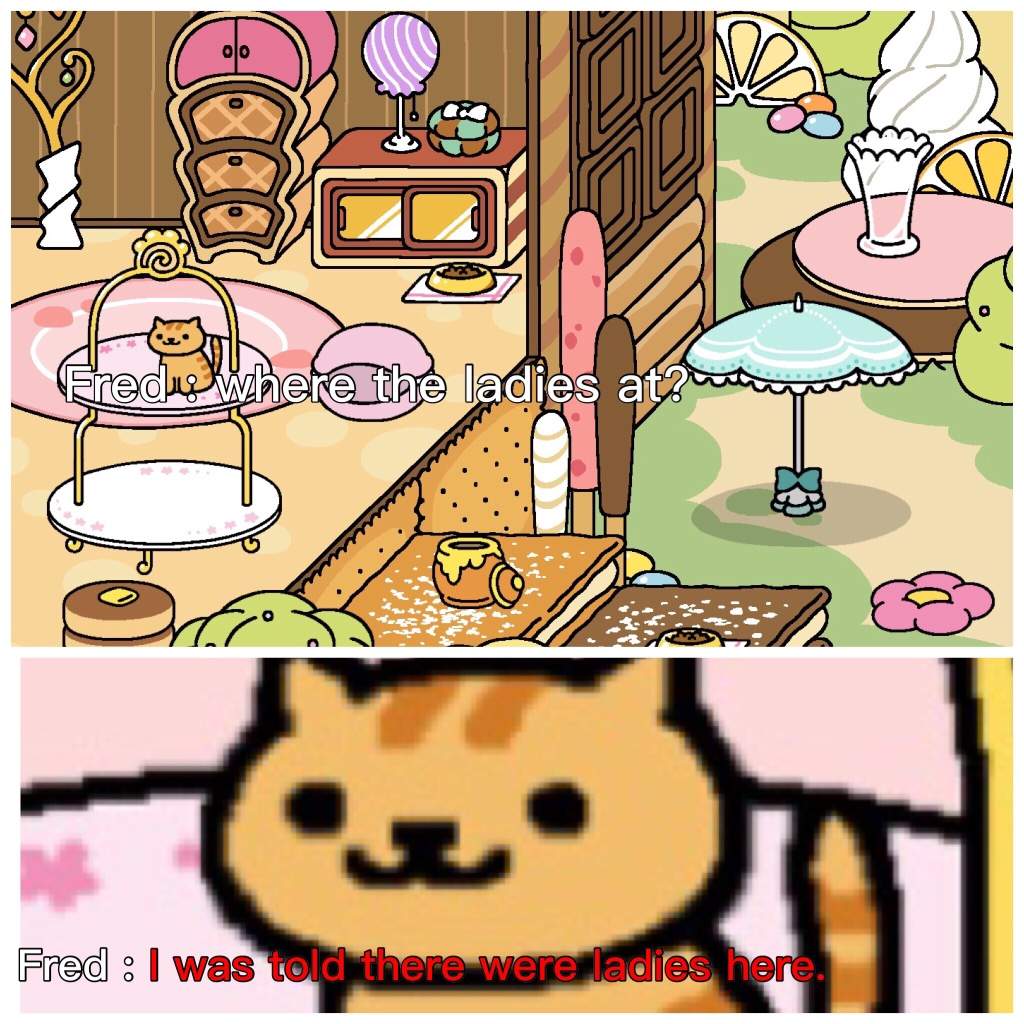 Poor Fred Neko Atsume Amino