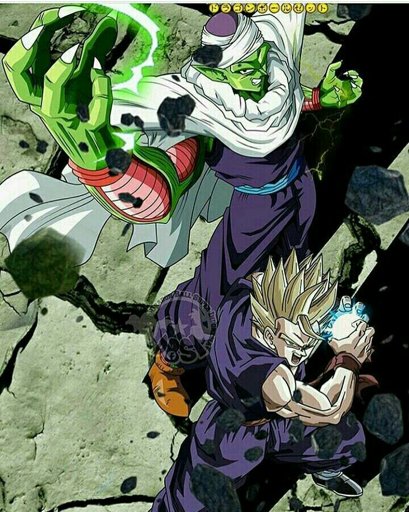 11+ Piccolo Picoro Pics