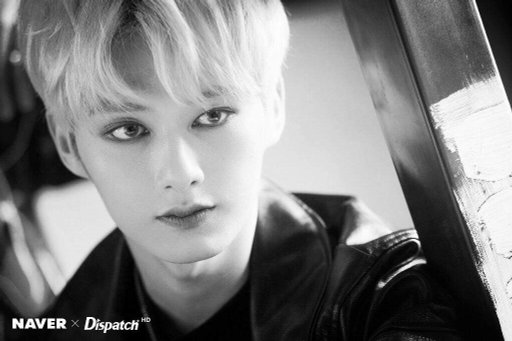 Wen Junhui Wiki Carat 캐럿 Amino