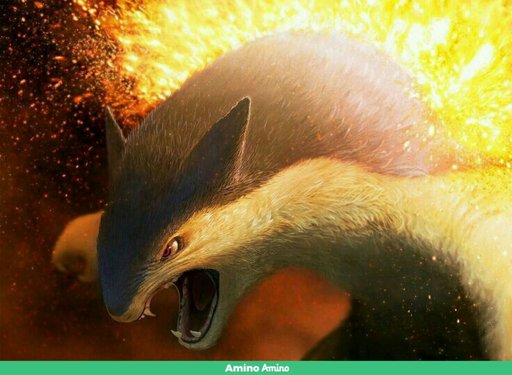 Typhlosion | Wiki | °•Pokémon Planet•° Amino