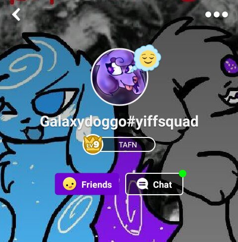 Look At This Beautiful Person Now Official Kittydog Amino Amino