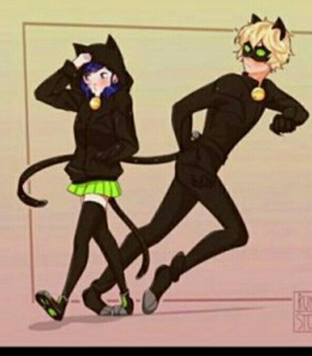 Я за Марикот. А вы? | Wiki | 🐞Russian Miraculers🐞 Amino