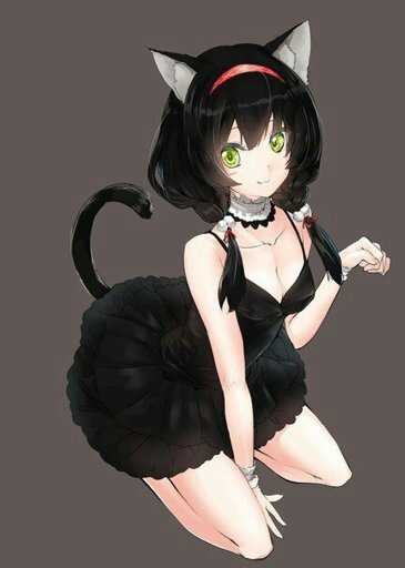 Anime black neko girl