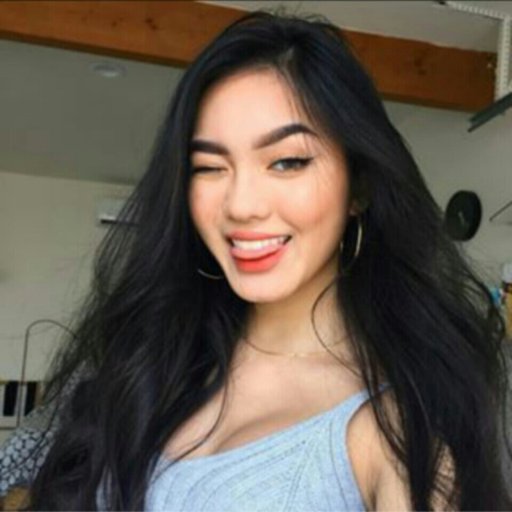 Jessica Vu Wiki Let Me Be Normal Amino Her birthday, what she did before fame, her family life, fun trivia facts, popularity rankings, and more. amino apps