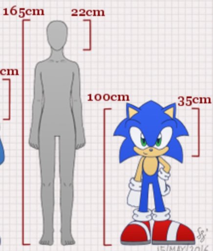 Why are Sonic characters so small and short? | Sonic the Hedgehog! Amino