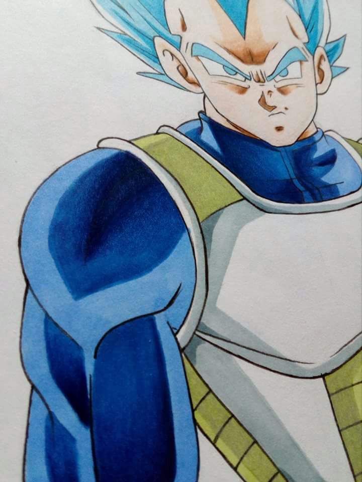 Vegeta Ssjblue Dragon Ball Amino Amino