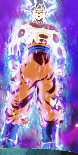Mastered ultra instinct Goku (whole