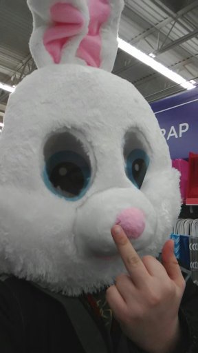 maskimals bunny