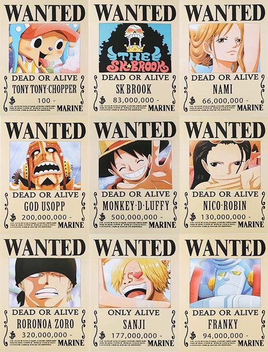 Straw Hat Wanted Posters Before And After One Piece Amino