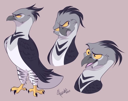 Harpy Eagle | Furry Amino
