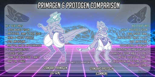 Primagen/Protogen Comparison | Primagen/Protogen Amino Amino