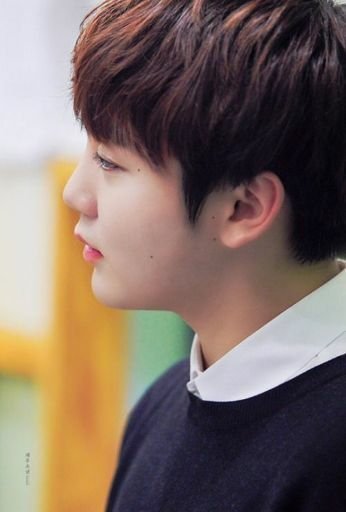 Seventeen Mole Appreciation Monbebe Amino