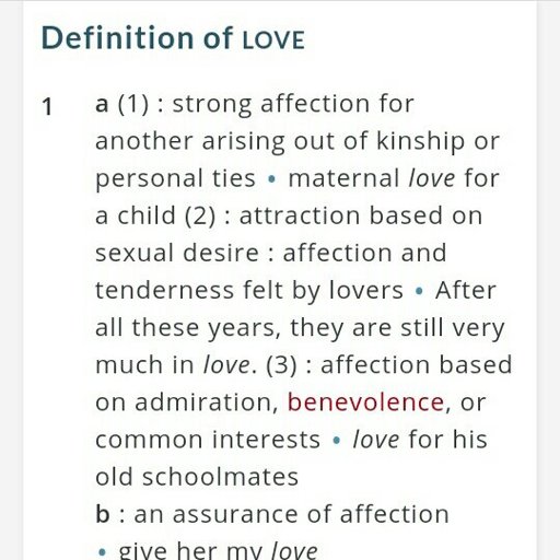 Definition infatuation what is Difference Between
