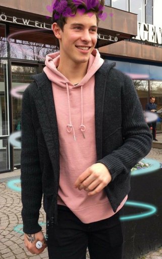 mendes army hoodie