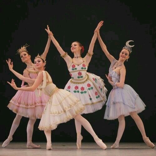 Espinoso Verdulero Humilde Vestuario del ballet clasico | Ballet Amino. Amino