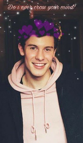 shawn mendes pink hoodie