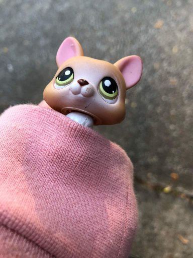 Lps_corgi | Wiki | •LPS Gallery• Amino