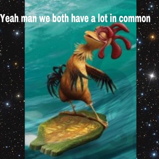 Chicken Joe hot Dank Memes Amino