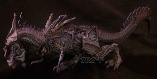 predator x extincion