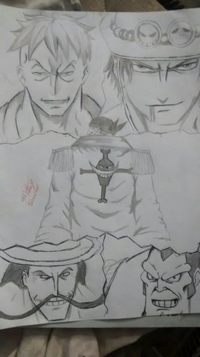 Ficou Legal Piratas Do Barba Branca One Piece Brasil Amino