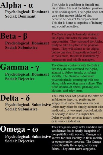 alpha omega beta quiz alpha omega beta quiz