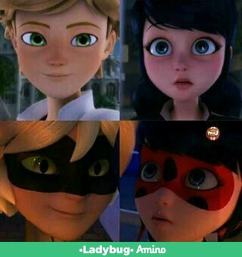 Teoria Miraculous Ladybug Español Amino