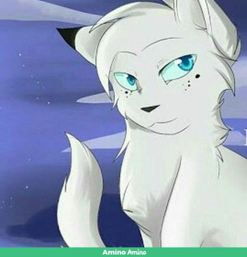 Всё про Белогривку | 🐱 Коты Воители 😺 Amino