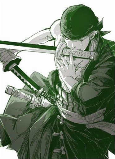 Roronoa Zoro Wiki One Piece Amino