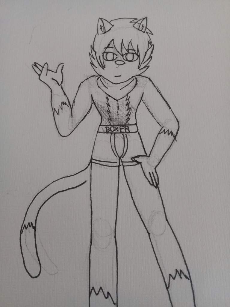 Dibujo De Mi Fursona Furry Espa Ol Amino