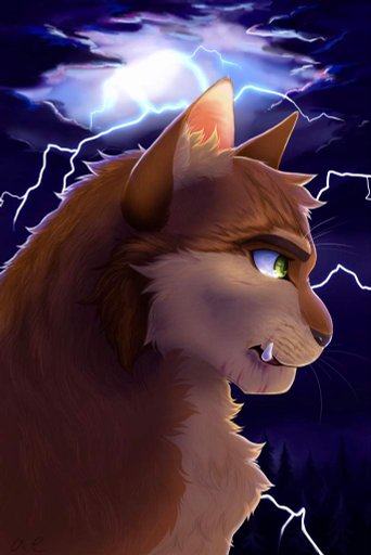 Метеор коты воители
