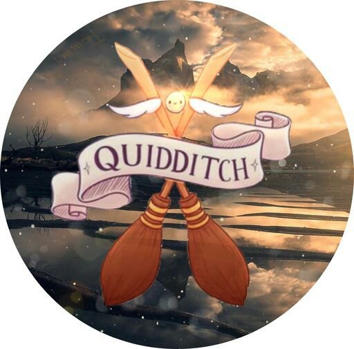 The Monthly Hippogriffs Edition 1: Quidditch! | Harry Potter Amino