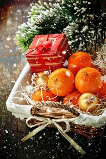 Апельсинки | Wiki | _ Природа _ Amino