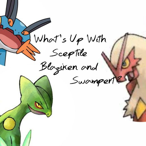 What S Up With Sceptile Blaziken And Swampert Pokemon Go Amino