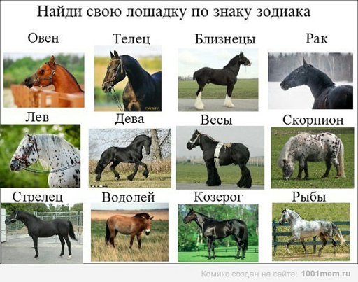 Гороскоп Про Лошадь