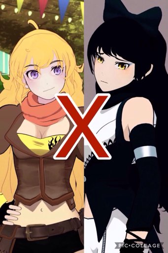 Rwby Ship Yang Xiao Long X Blake Belladonna Rwby Amino