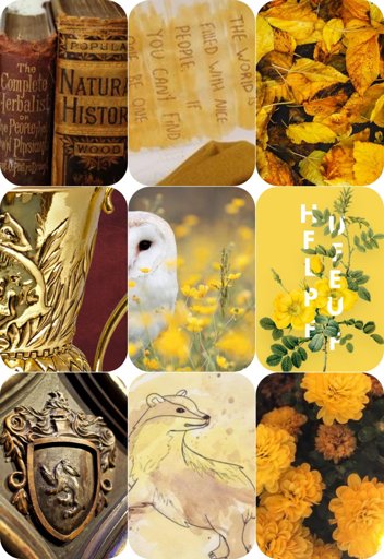 Hufflepuff aesthetic | Hogwarts Mystery Amino Amino