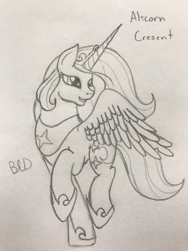 Quick Sketch Equestria Unofficial Fan Club Amino