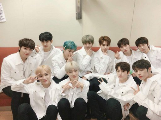Conhecem The Boyz??? | Stray Kids ↳BR Amino