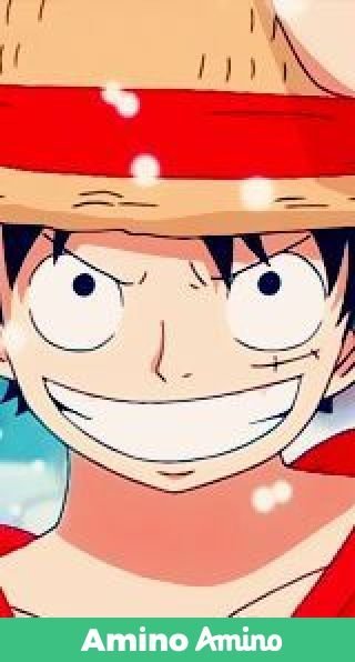 Le Chapeau De Paille Mugiwara Wiki One Piece Amino