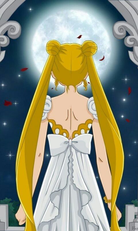 Wallpapers Sailor Moon Princesa Serena Anime Amino