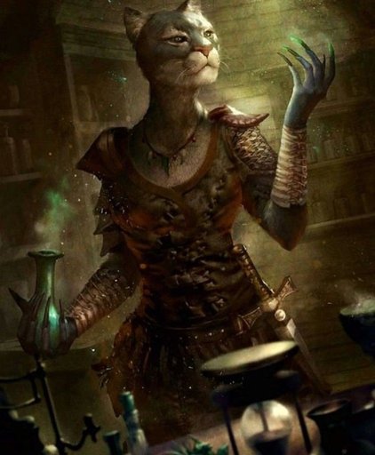 The Khajiit Clanmother Wiki Tamriel Elder Scrolls Amino Amino