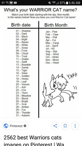 What Is Your Warrior Cat Name Warriors Amino