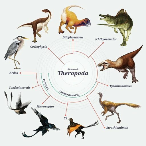 Theropods | Science Amino