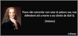 Image result for voltaire meme br