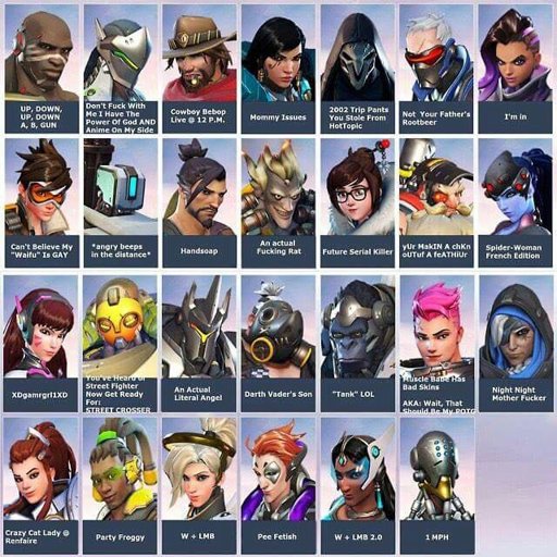 OW character official names Overwatch Amino